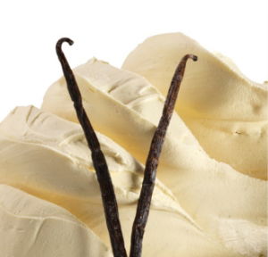 PASTE Vanilla Top X 3.5 KG