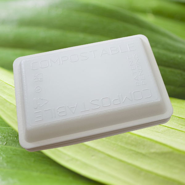 Gelato Line_eco-box-compostable