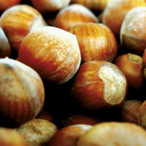 Hazelnut POP G. X 10 KG